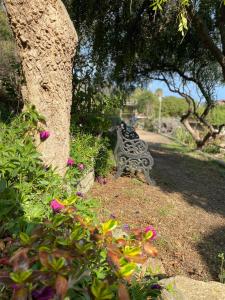 Ảnh trong thư viện ảnh của Cabañas Aloha-ki ở El Quisco +22 ảnh