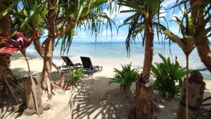 una spiaggia con sedie, palme e l'oceano di Te Fitii Garden & Beach a Fare (Huahine Nui)