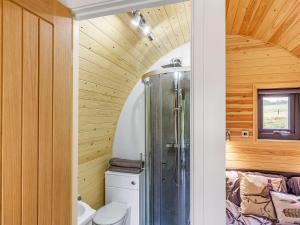 a bathroom with a shower and a toilet at Oak-uk36258 in Llanfair Caereinion