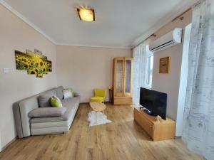 uma sala de estar com um sofá e uma televisão em Apartment Evie - Central Historical Quarter em Rijeka