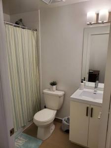 La salle de bains est pourvue de toilettes, d'une douche et d'un lavabo. dans l'établissement Midtown 4 bedroom home Free Wi-Fi and parking, à Toronto
