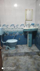 a bathroom with a toilet and a sink with birds on the wall at Savitri Palace in Pushkar