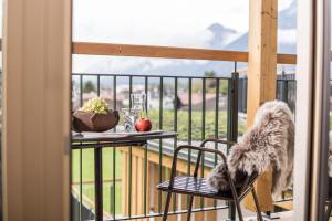 Domácí mazlíčci ubytovaní s hosty v ubytování Zeit.Glück Appartements