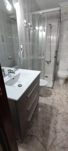 a bathroom with a sink and a shower and a toilet at ARRECIFE, GARAJE Y WIFI GRATIS JUNTO PUENTE ROMANO in Córdoba