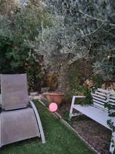 a pink frisbee sitting next to a park bench at Chambre d hôtes AU CŒUR DES OLIVIERS in Marseille