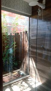 uma porta de chuveiro de vidro com uma planta dentro em Casa D´Alicia em Maraú