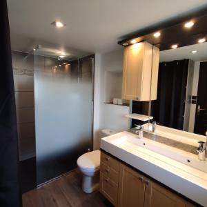 a bathroom with a sink and a toilet and a mirror at Gîte du pré forestier in Saulxures-sur-Moselotte +14 photos