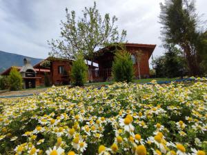 Zahrada ubytování Hurmalık Apart Evleri-Very Close to the Sea Large Garden Bungalow with Barbecue and Swing