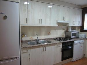 cocina con armarios blancos, fregadero y nevera en Apartamento Sallan Ainsa Ordesa Zona Zero, en Aínsa