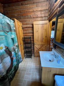 y baño con lavamanos y ducha en una cabina. en Graves Mountain Farm & Lodges, en Syria