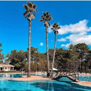 a swimming pool with palm trees and a wooden bridge at Charmoso apartamento na Herdade da Aroeira in Aroeira