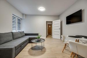 a living room with a couch and a table at Central Platinum Apartments 22 in Rybnik +12 photos