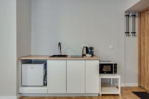 Kuchnia lub aneks kuchenny w obiekcie Central Platinum Apartments 21