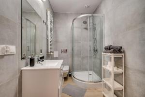 łazienka z prysznicem, umywalką i toaletą w obiekcie Central Platinum Apartments 21 w Rybniku