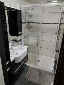 W łazience znajduje się prysznic i umywalka. w obiekcie Apartman LELA w mieście Karlovac