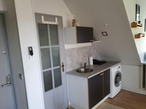 una pequeña cocina con fregadero y lavadora en Zöld Relax Apartments, en Budakeszi