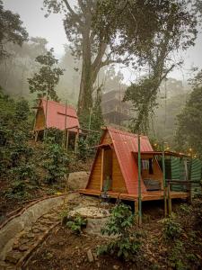 een klein huis met een rood dak in een bos bij ECO Cabin - TANOA Minca in Minca