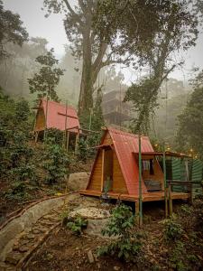 a small house with a red roof in a forest at ECO Cabin - TANOA Minca in Minca