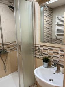 Koupelna v ubytování Apartmani u Vili Kopaonik + 19 fotografií