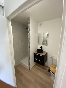 een badkamer met een toilet, een wastafel en een spiegel bij Appartement très lumineux avec belle vue dégagée in Rochefort-en-Terre