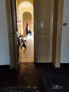 a hallway with an open door with a cat sitting on the floor at Clement's House Hostel in Alexandria