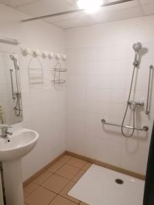 La salle de bains est pourvue d'un lavabo et d'une douche. dans l'établissement Auberge Chez Gabrielle - Vallée de Lesponne, à Beaudéan