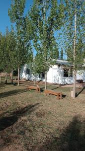 a group of benches in a park with trees at Apartamento Cerrito in San Rafael