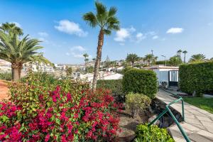 a garden with pink flowers and a palm tree at Bungalow Canarios 1 ,Arguineguín in Arguineguín