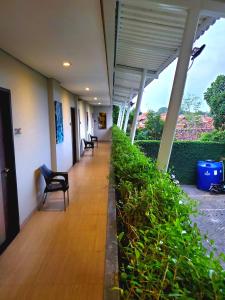 an empty hallway of a building with chairs and plants at Hotel Sampurna Cirebon in Cirebon