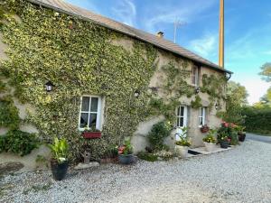 Una casa con plantas a un lado. en Gîte La Petite-Marche, 3 pièces, 4 personnes - FR-1-489-159, en La Petite-Marche