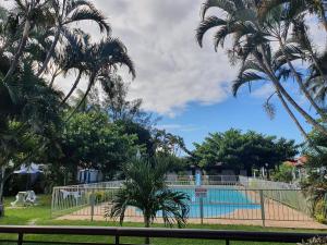 ein Pool mit Palmen und einem Hund an einem Zaun in der Unterkunft Apartamento Bangalo Cabo Frio in Cabo Frio
