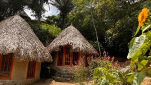 Ein Garten an der Unterkunft Tawaca Ecohotel