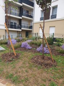 deux arbres devant un bâtiment aux fleurs violettes dans l'établissement SPA Détente jacuzzi cinéma farniente, à Dugny