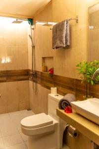 een badkamer met een toilet, een douche en een wastafel bij Daisy Cottage Dhangethi in Dhangethi