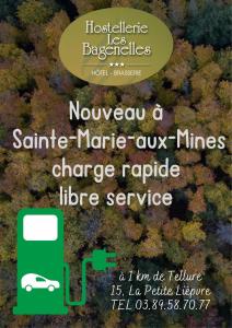 een flyer voor een autodealer met een auto geparkeerd in een bos bij Hostellerie Les Bagenelles in Sainte-Marie-aux-Mines