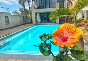 Piscina di Grand Bay Suites o nelle vicinanze