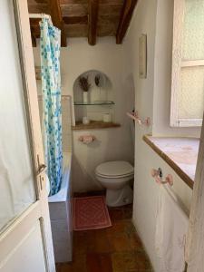 ein kleines Bad mit einem WC und einer Dusche in der Unterkunft Dimora Toscana in Seggiano