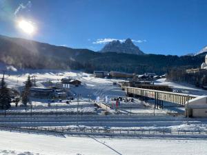 a snow covered village with a mountain in the background at Hotel Almhof in San Candido +100 photos