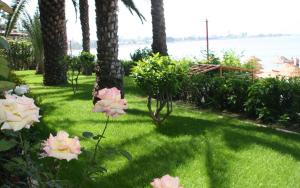 Zahrada ubytování Rubi Hotel