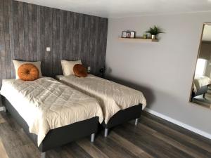 a bedroom with two beds and a mirror at Hoeve Terwinghe in Gingelom