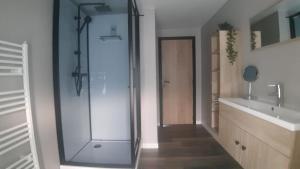 uma casa de banho com uma cabina de duche em vidro e um lavatório. em Hoeve Terwinghe em Gingelom