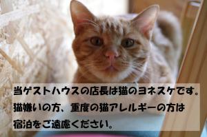 a cat with a sign in front of its face at Asahikawa Ride in Asahikawa