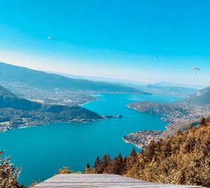 a view of a lake from a mountain at LE NID DU BIRDIE, Giez, Proche du lac d’Annecy in Giez