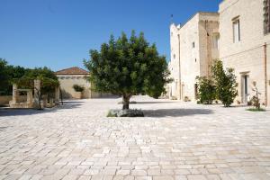 a tree in a courtyard next to a building at MASSERIA LILEI in Lizzanello