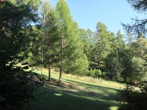 un campo de césped con árboles en un bosque en Appartement Les Orres, 2 pièces, 6 personnes - FR-1-322-233, en Les Orres