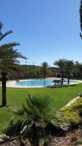 uma piscina com palmeiras num parque em Las Colinas Golf em Orihuela Costa