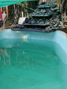 a pool of green water with a pile of rocks at Tapovan fruitopia in Sultan Bathery