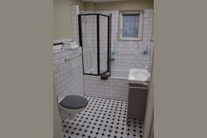 a bathroom with a toilet and a sink at Ferienhaus Tiefenthal -NICHT FÜR MONTEURE- in Bad Staffelstein