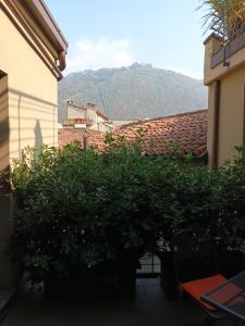 a view from a balcony of a house with a tree at Como Via Carcano 13 in Como