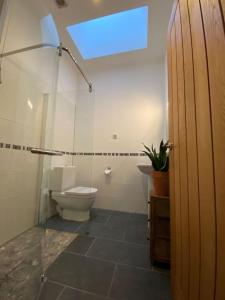 a bathroom with a toilet and a skylight at Courtyard Cottage in Lockerbie